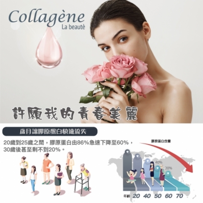 Collagen_l000NO5.jpg